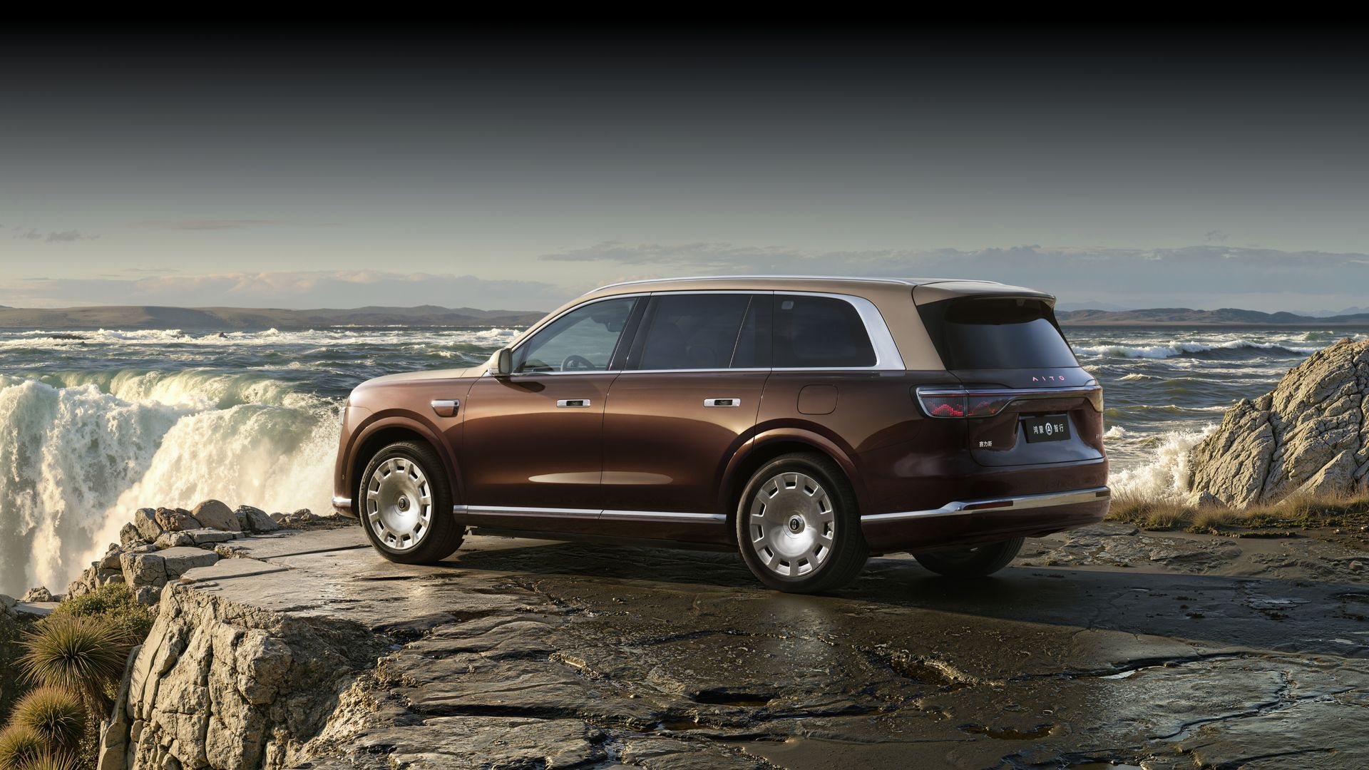 Vehicle: AITO M9